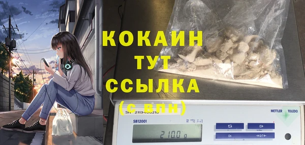 соль ск Медвежьегорск