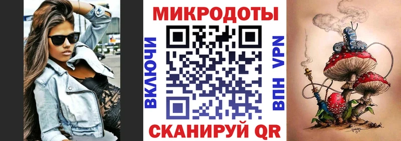 Псилоцибиновые грибы Psilocybe  blacksprut ссылка  Ясный 